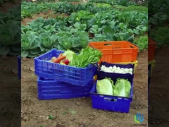 27L ελαφρύ αναδιπλούμενο κιβώτιο κιβώτιο λαχανικών φρούτων μεγέθους κύκλου εργασιών